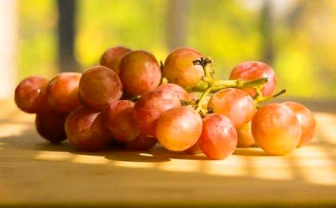 �P(gu��n)�����ѵ�����15ƪ���ᣩ