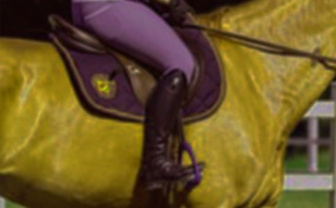 �����x���T�R������300�ּ�����ƪ