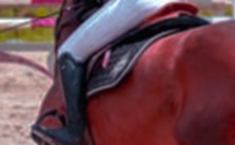 ���P�T�R�����ąR��5ƪ