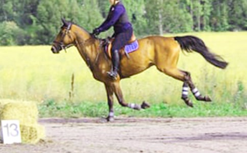 �P(gu��n)���T�R������3ƪ