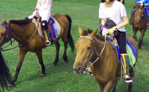 ��һ���T�R����600�־�ƪ