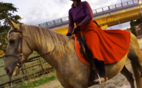 第一次騎馬作文600字匯編九篇