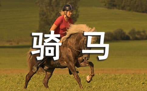 ��(sh��)�õ��T�R���ĺϼ�8ƪ