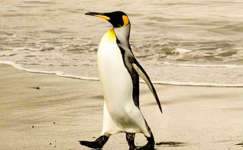 ���꼉�ԡ��������Z�u���̌W(xu��)��˼