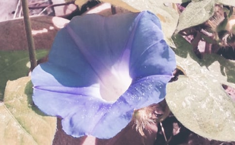 �Ґ۠��������Ĵ�ȫ