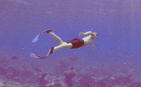 潛水的作文300字合集九篇