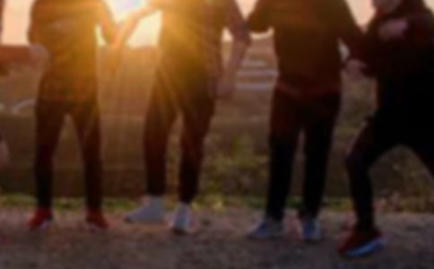 ����ɲ�(li��n)ϵ�������Y(ji��)����