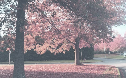 ���P(gu��n)�＾���� (6ƪ)