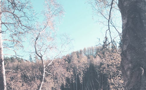 ����＾���̹������Y(ji��)