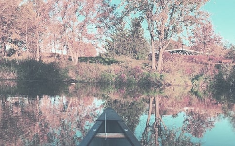 �����A���＾������ƪ