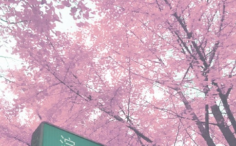 �P(gu��n)�����꼉�＾����300�օR��5ƪ