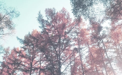 �Wǰ���＾�W�ڹ������Y(ji��)