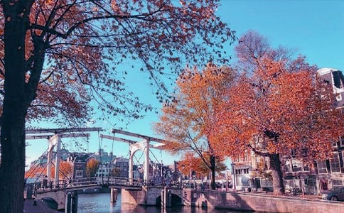 ���L�c��������