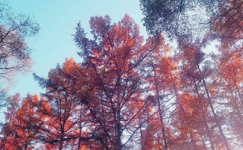 ���ո�������3ƪ