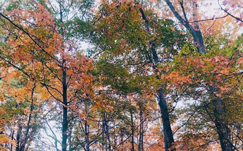 �����յǅǹ��_(t��i)�����h(yu��n)����ԭ�ļ��p��