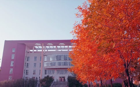 ����Ʒ����������300��4ƪ