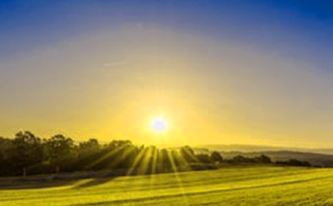 �����ճ�����