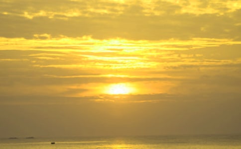 �^���ճ������ģ�ͨ��61ƪ��