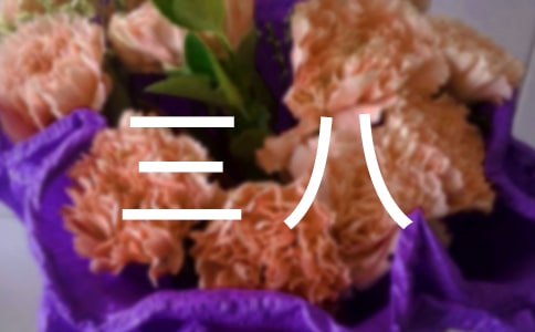 �����]���ж���������8ƪ