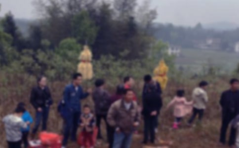 掃墓小學(xué)作文