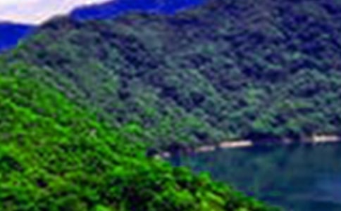 泌陽山水作文700字