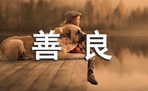 ���������g���f����