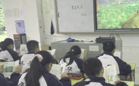 �W(xu��)���`�����n�o(j��)�əzӑ�������x30ƪ��