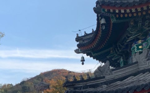 ��������ǧ�꡷�x��Ѓ�(y��u)������800��