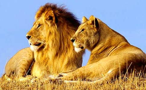 �R�Ϙ�Ī{��Ъ���Z