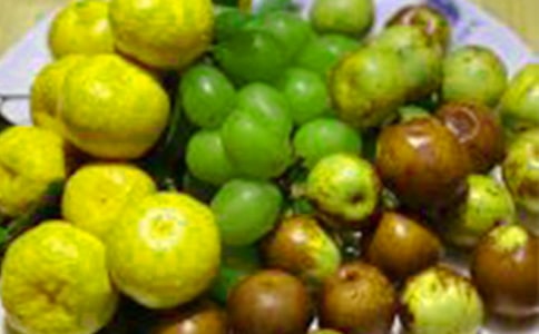 【精選】種水果的作文五篇