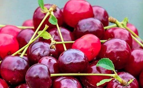 我喜愛的水果作文(精選38篇)