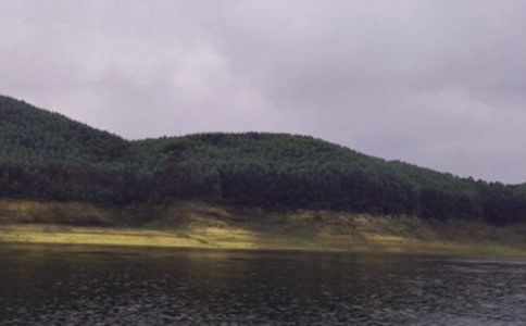 2021ˮ��(k��)�а���(ji��n)�ΰ��ͬ����