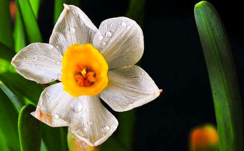 �����x��ˮ������400��6ƪ