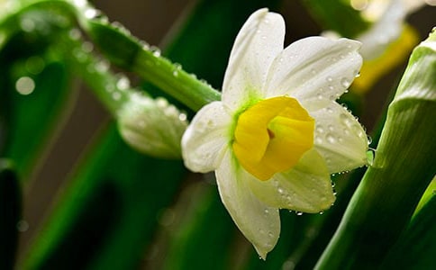 ˮ������300��