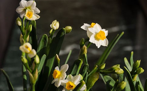 ˮ������400�ְ�ƪ