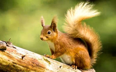 ����600�ֳ�������