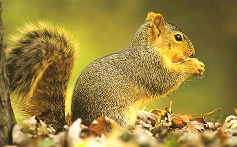 ���꼉�ԡ���ֻ�����f�n��