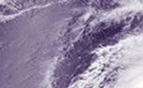 �ۿڷ��_(t��i)�L(f��ng)��(y��ng)���A(y��)����ͨ��6ƪ��