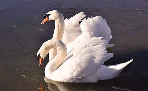 �]���o���Z�������