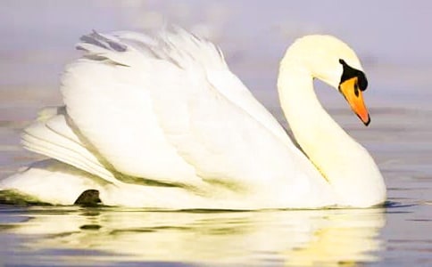 [��(y��u)]���Z����600��4ƪ