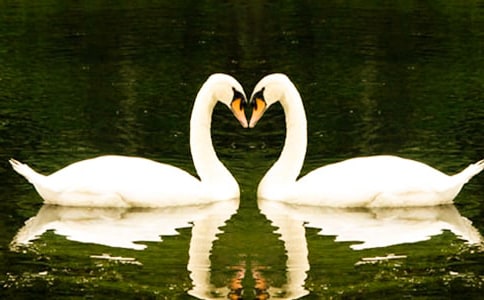 ���Z����600������