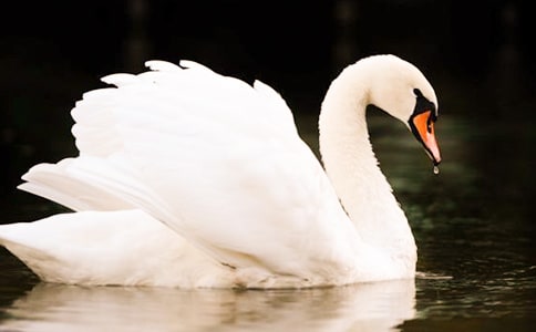 �����A�����Z����300��4ƪ