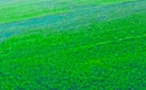 �Ґ���Ұ���ġ��᡿