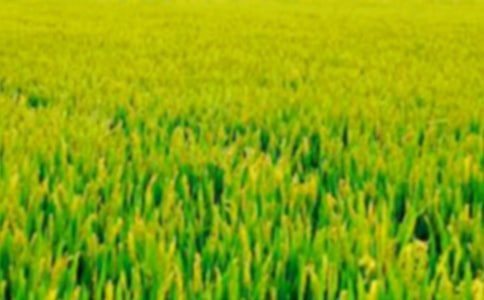 ���؂䡿��Ұ���ąR��8ƪ