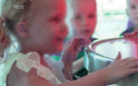 ���᡿ͯ��ľ���Ƭ��ժ��