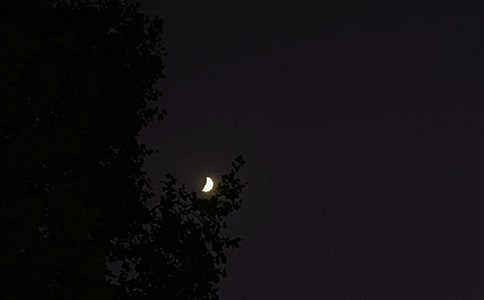 ����Ψ������������Ȧ�����Zժ�41��