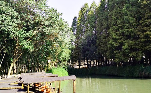 烏鎮(zhèn)旅游作文(精選三篇)