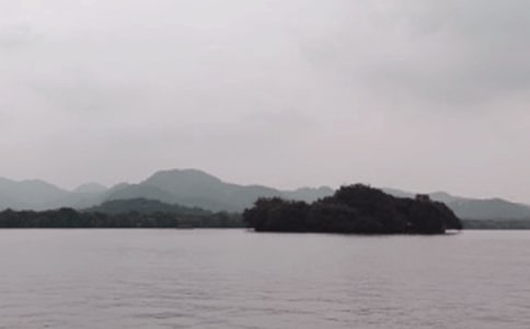 西湖的作文(合集3篇)