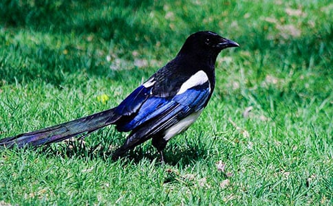 ϲ�o����400����ƪ