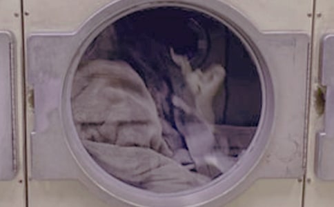 ��Wϴ�·���(chu��ng)�I(y��)Ӌ����